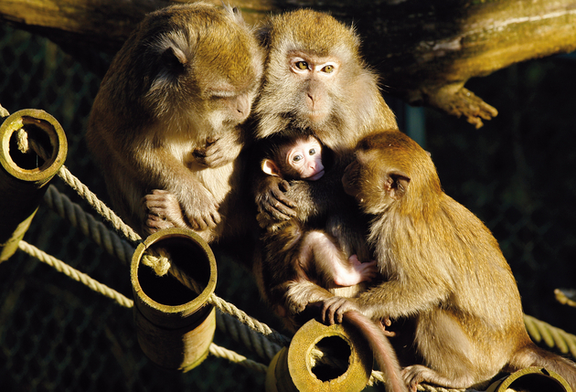 Projekt "Zoo Saarbrücken" Projekt "Zoo Saarbrücken"