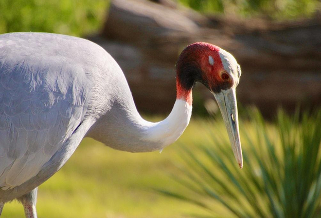 25159a40-97d5-4f81-988a-a77b2fdd0b78