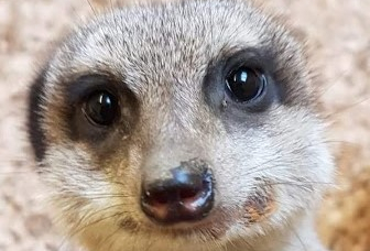 3aef08ec-9a49-44cf-a306-61f36ffe396cz