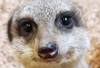 3aef08ec-9a49-44cf-a306-61f36ffe396cz